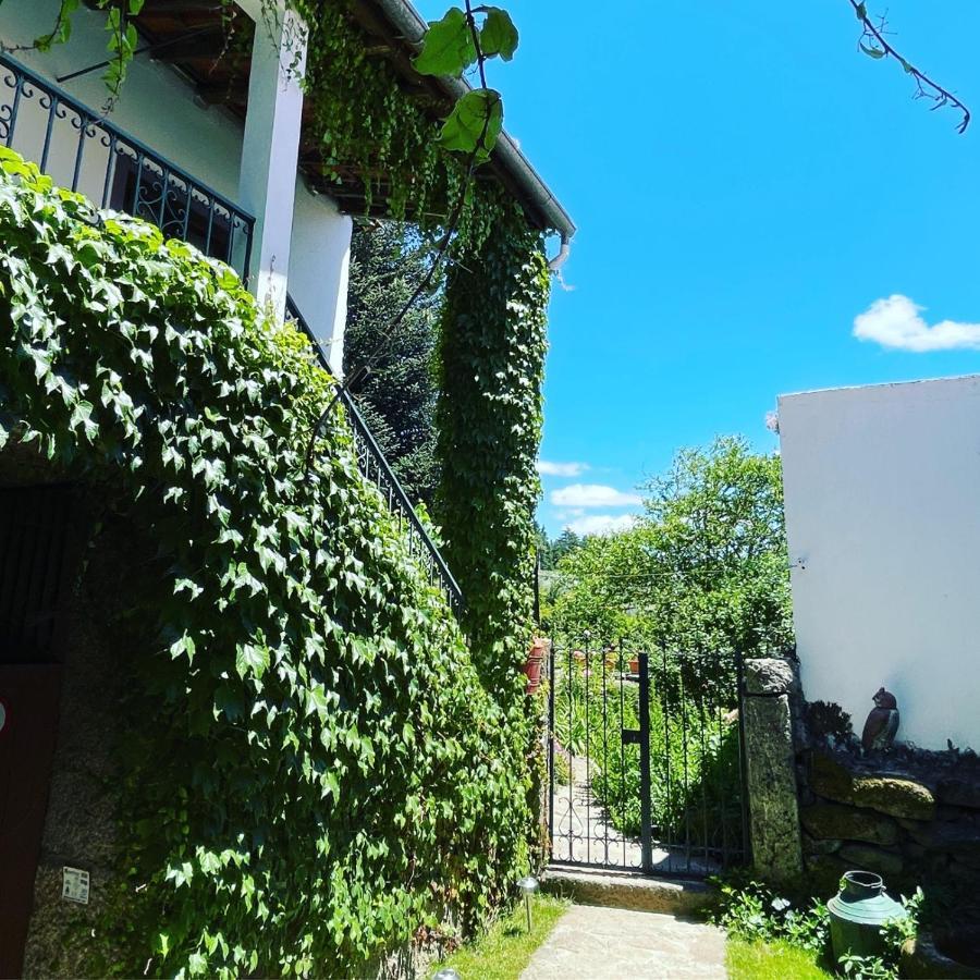 Casa Do Beco B&B Douro - Guest House Parambos Экстерьер фото